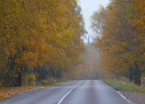 Установлен новый температурный рекорд для 11 ноября (Фото: LETA)