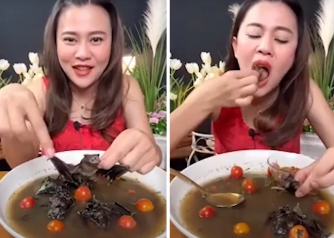 Блогер приготовила и съела летучую мышь - и оказалась за решеткой