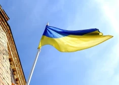 С 24 февраля больше всего украинцев получили временную защиту в Польше и Германии.