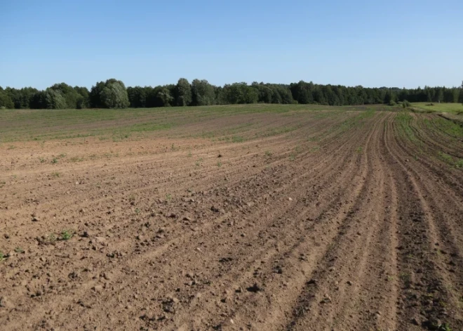 Какая активность наблюдается на рынке сельскохозяйственных и лесных земель в Латвии?