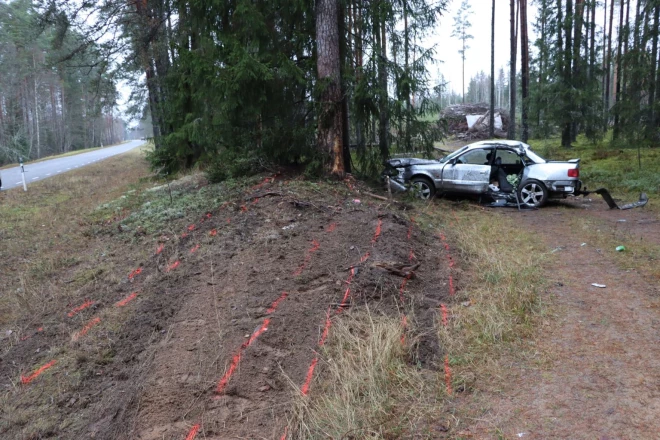 Kāds 25 gadus vecs latvju “brašulis” bija devies pie mūsu ziemeļu kaimiņiem pierobežā – Valgas pagastā, lai tur pārbaudītu vietējo ceļmalas koku “stiprumu”.