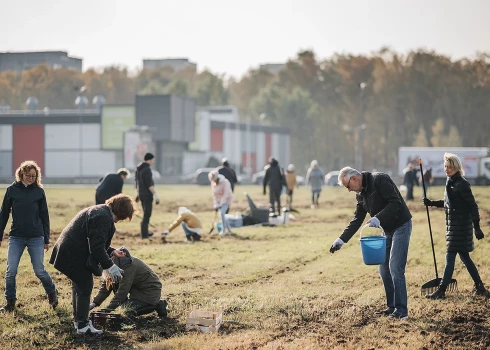 Top pilsētas pļava Dreiliņkalna pakājē Pļavniekos.