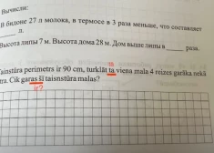 Skolnieces krievvalodīgā mamma atradusi vairāk nekā 20 gramatikas kļūdu matemātikas uzdevumos latviešu valodā