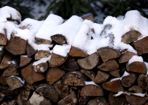 В Латвии стали воровать дрова, гранулы и брикеты: теперь "твердое" топливо можно застраховать