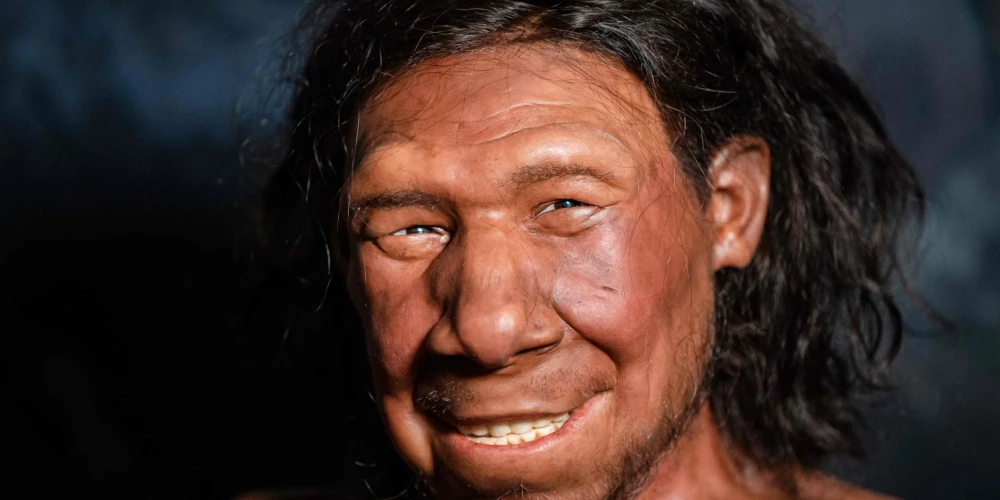Ko ēda neandertālieši? Alā atrastie maltītes pārpalikumi pārsteidz