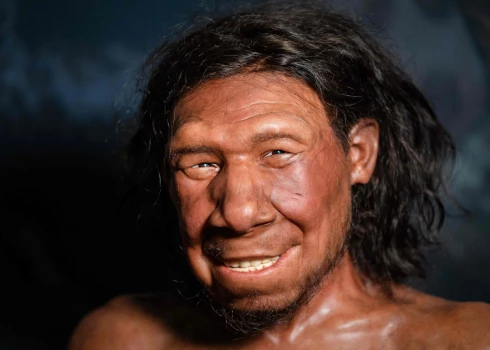 Šāds izskatījies Nīderlandē atrastais neandertālietis