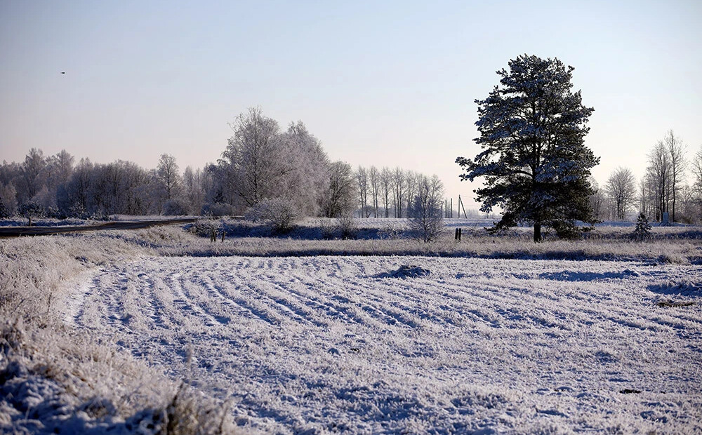 Ceturtdiena Latvijā būs apmākusies un vietām gaidāms sniegs