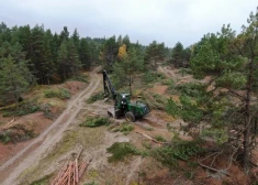 Aizaugšana apdraud pelēko kāpu ainavu un nepieciešamos apstākļus retām gaismu mīlošām dzīvnieku un augu sugām.