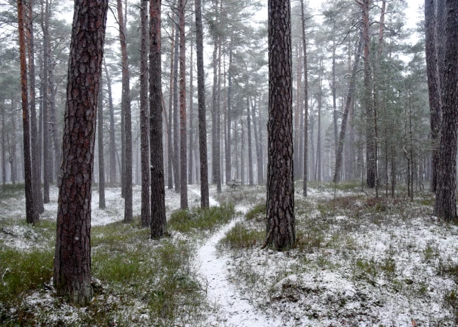 Pirmdien Latvijā gaidāms neliels sniegs