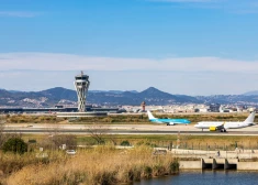 Более 200 испанских самолетов заправят биотопливом из оливок