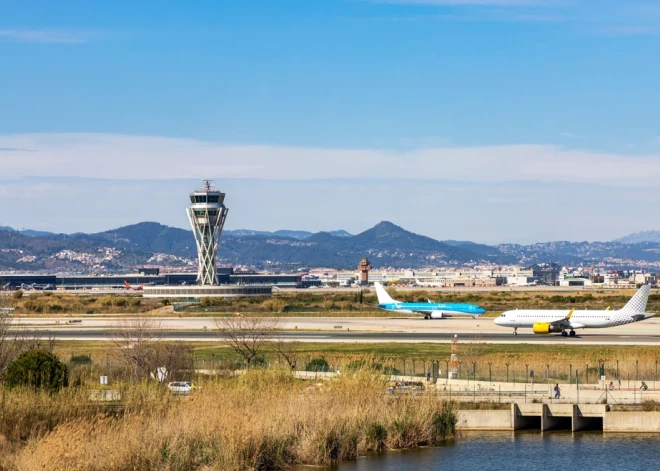 Более 200 испанских самолетов заправят биотопливом из оливок