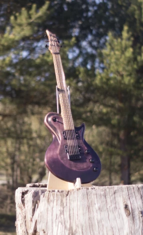 "Prunus" – ģitārai, kura skan Francijā, ir visjautrākais stāsts. Tā trīsreiz diezgan smagi cietusi, Ansim mūzikas instrumentu darinot, kaķis iemanījies to nogāzt, vedot projām, arī kurjers nodarījis skādi. Pircējs ģimenes apstākļu dēļ bijis spiests to pārdot, bet pēc tam par trīsreiz lielāku naudu atkal atpircis un tagad glabā kā acuraugu.