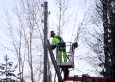 AS "Sadales tīkls" darbinieks veic elektrolīniju rekonstrukcijas darbus Inčukalna pagastā.