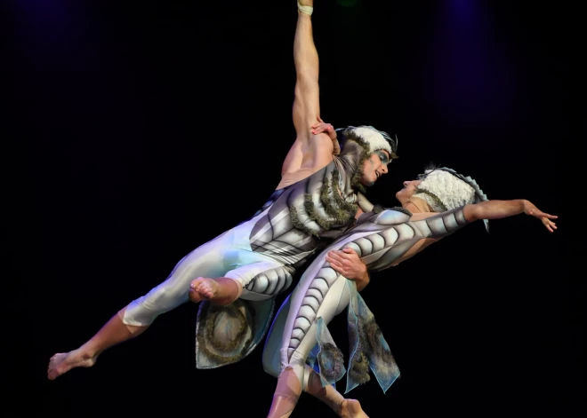 7 декабря начинается продажа билетов на новое шоу Cirque du Soleil