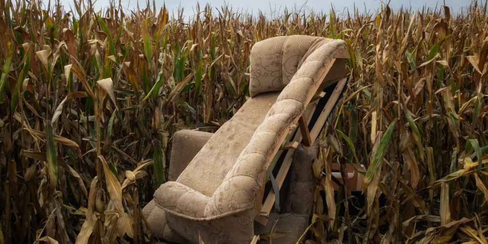 Иллюстративное фото