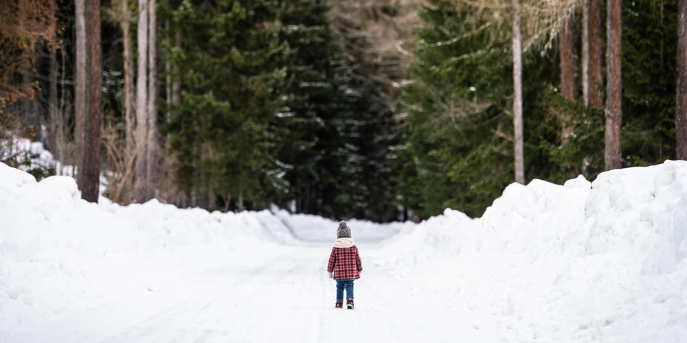 Иллюстративное фото
