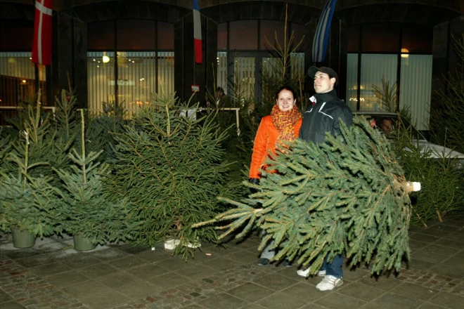 Uz Ziemassvētku eglītes pirkšanas rēķina var ieekonomēt, it sevišķi rīdzinieki, to meklēt dodoties tā patālāk no galvaspilsētas.