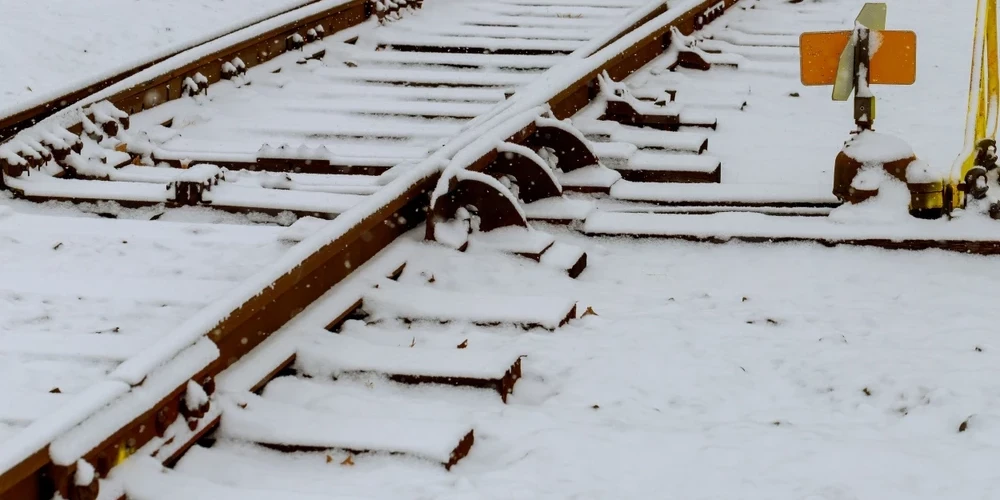 Иллюстративное фото