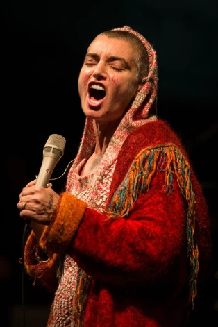 Šineida.