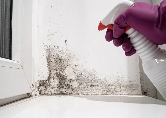 Названа серьезная причина аллергии, приступов астмы и других проблем со здоровьем. Кто в группе риска?