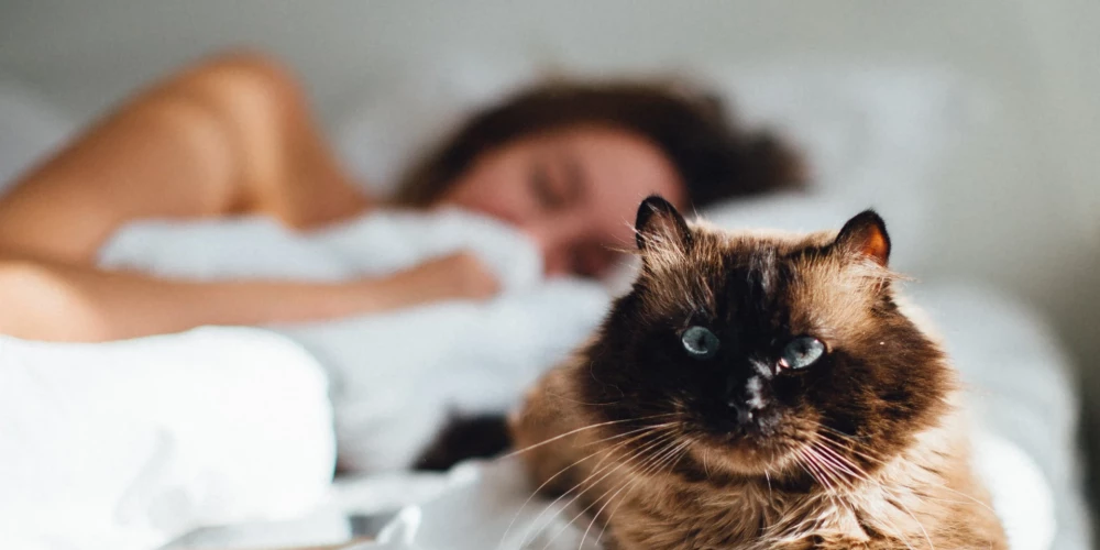 Иллюстративное фото