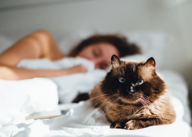 Вот те на: хорошее настроение негативно влияет на сон