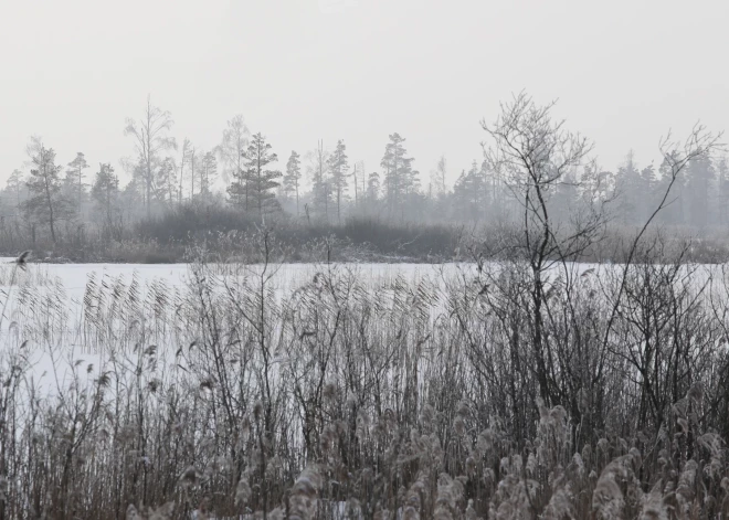 "Нет" любительской охоте! Фонд национального парка Кемери просит общественность подписать инициативу