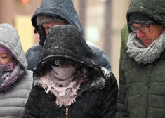 Люди во время снегопада