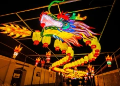 "Драконы, мифы и легенды" по-настоящему завораживают