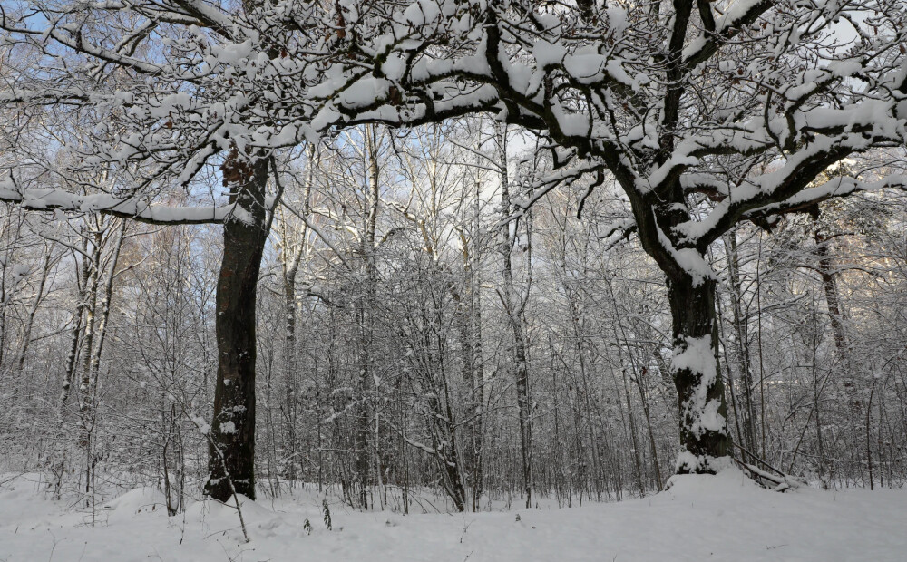 Piektdien vietām Latvijā īslaicīgi snigs