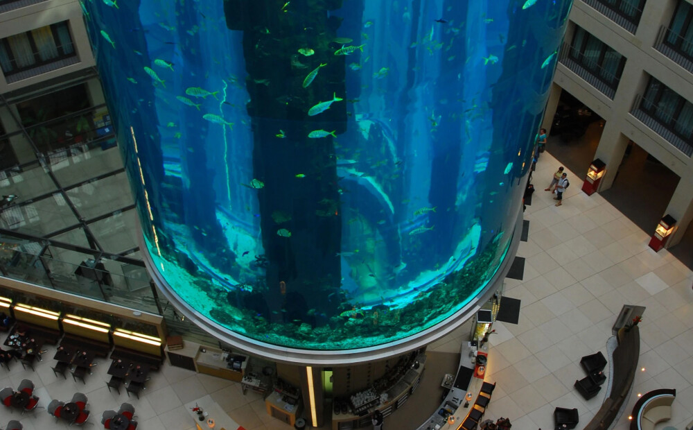 Berlīnes viesnīcā saplīst milzu akvārijs, miljoniem litru ūdens applūdina apkārtni