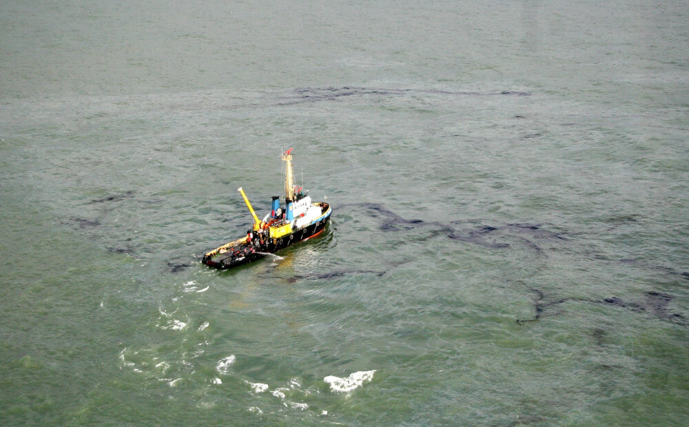 Apstiprināts Nacionālais rīcības plāns dzīvnieku glābšanai naftas piesārņojuma gadījumā jūrā un krastā