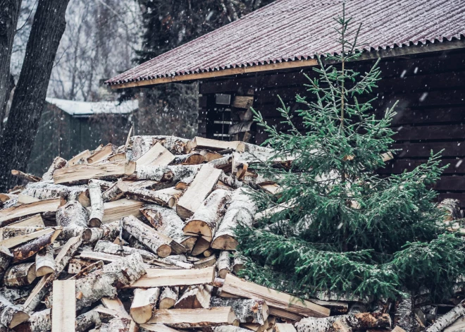 Aicina pēc svētkiem eglītes neizmest sadzīves atkritumos un no tām atbrīvoties videi draudzīgā veidā