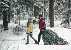 Как не принести домой незваных гостей?