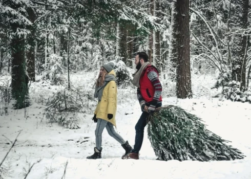 Как не принести домой незваных гостей?