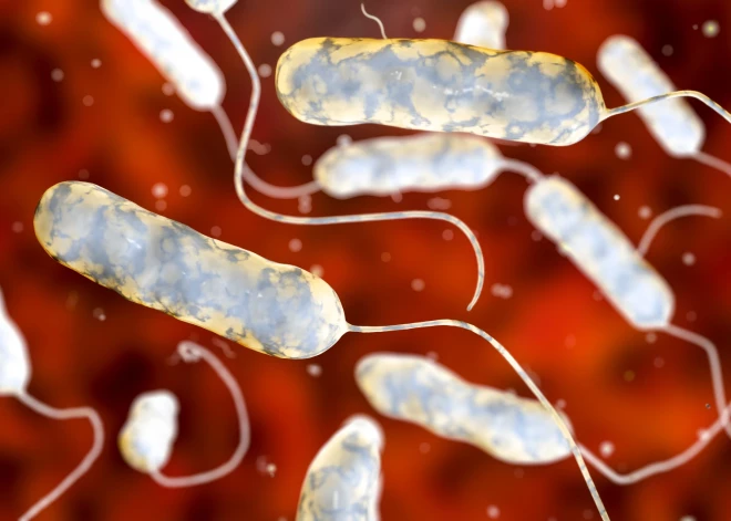 Šogad leģionāru slimība “plaukst” kā vēl nekad! Kā atšķirt tās simptomus no parastas saaukstēšanās?