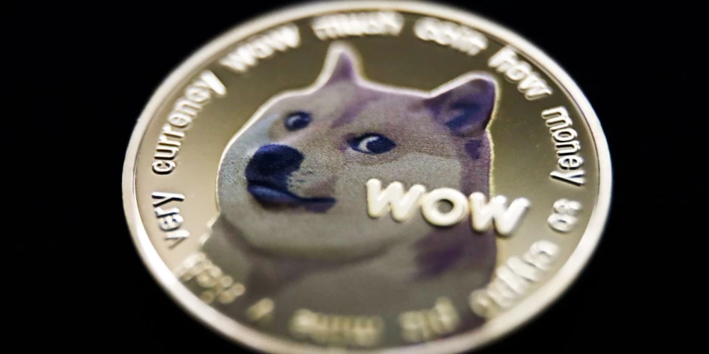 Kabosu bilde attēlota uz "Dogecoin" kriptovalūtas