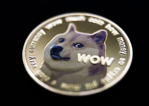 Kabosu bilde attēlota uz "Dogecoin" kriptovalūtas