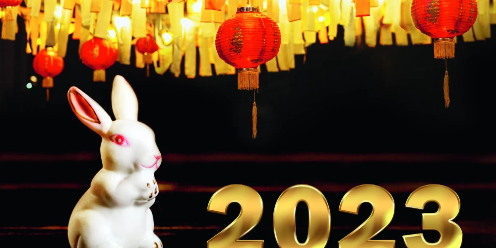 Год будет интересным! Самый полный китайский гороскоп на 2023-й