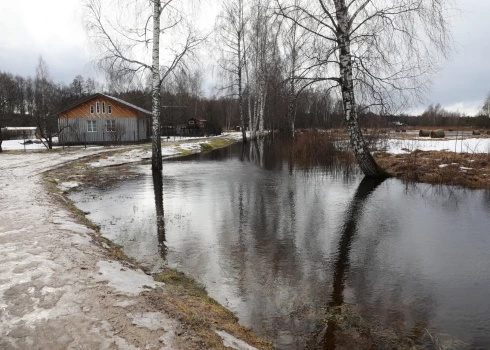 В настоящее время уровень воды поднимается почти во всех реках, в некоторых - стремительно