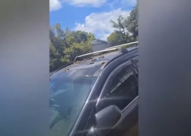 ВИДЕО: женщина забросала "неправильно" припаркованную машину собачьими экскрементами