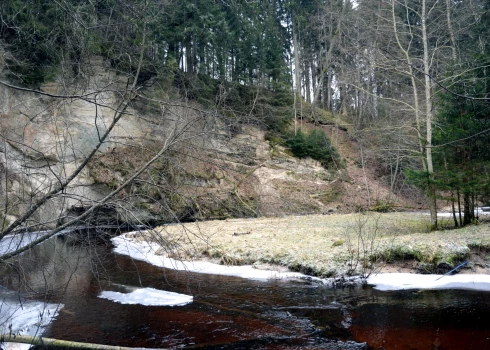 "Ekstrēmākais karstuma vilnis, kāds jebkad redzēts Eiropā": siltais janvāris pārspēj rekordus