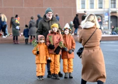 В Латвии ведутся дискуссии вокруг возможного введения налога на бездетность.