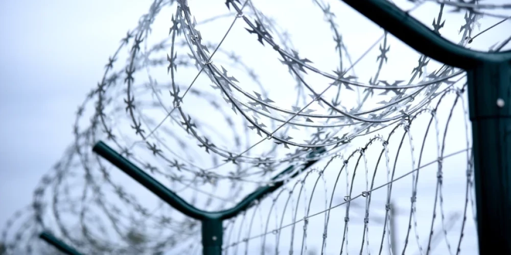   "Я просто через забор перелез": получивший убежище в Латвии экс-полицейский из Пскова раскрыл, как пересек границу