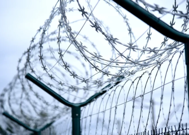 "Я просто через забор перелез": получивший убежище в Латвии экс-полицейский из Пскова раскрыл, как пересек границу