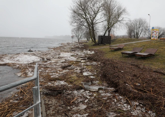 Daugavas palu ūdeņu sanestie ledus gabali un draza peldvietā pie Ķengaraga promenādes.