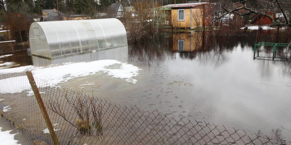 Иллюстративное фото