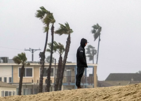 (Ilustratīvs foto) Biznesa ideja ir grandioza, bet tās izpildītājs - skandalozs.