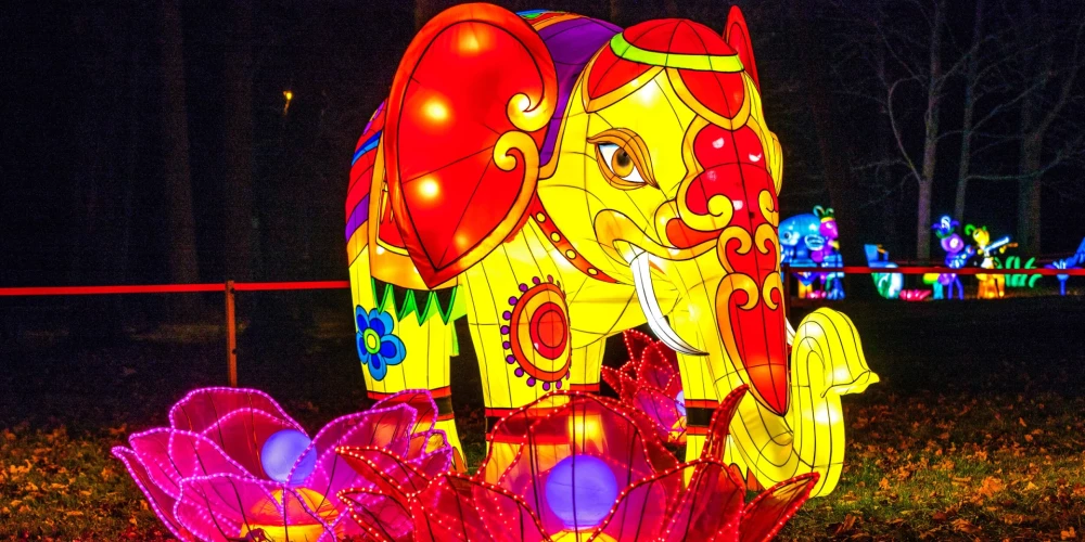 Вы еще успеете увидеть эту красоту своими глазами!