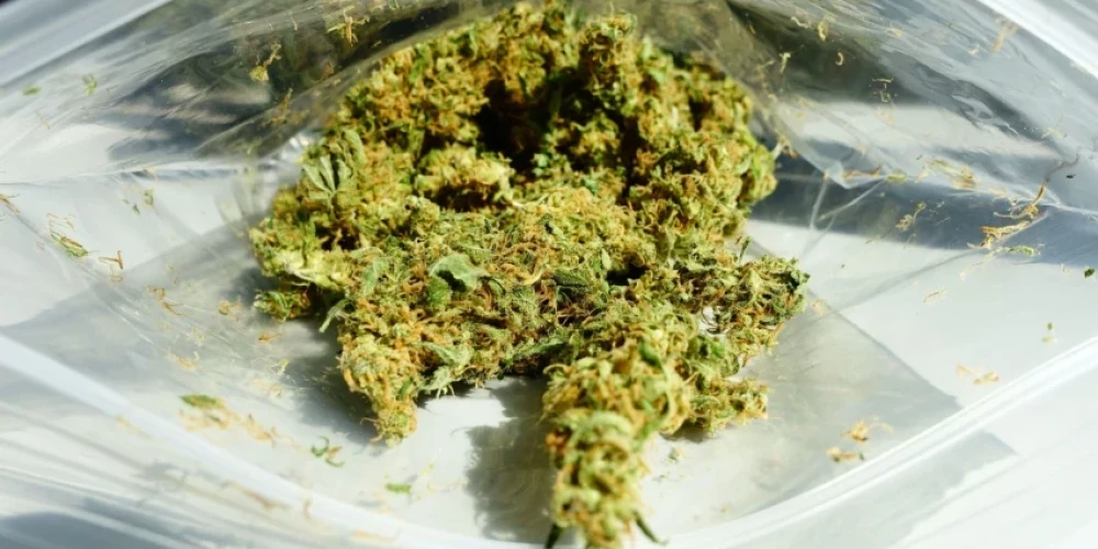   Пять лет за контрабанду наркотиков: в Эстонии посадили латвийца, перевозившего марихуану в аудиоколонке